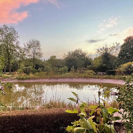 Imagine B&B Wortegem ภายนอก รูปภาพ