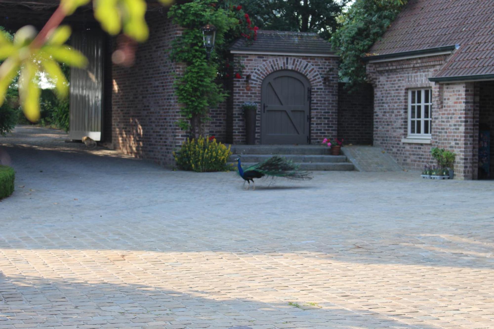 Imagine B&B Wortegem ภายนอก รูปภาพ
